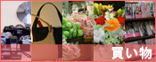�u�������v�J�e�S���[